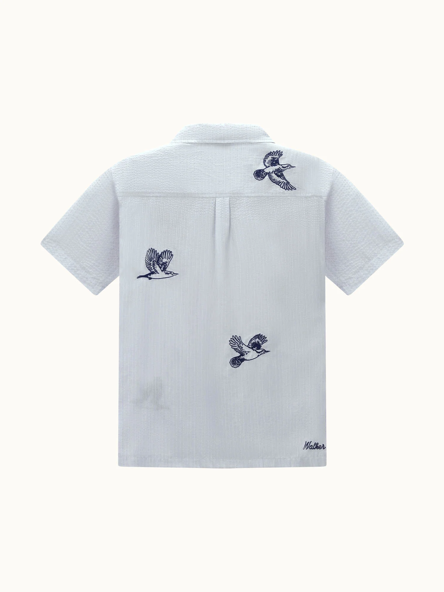 Flight SS Shirt Sky Blue - Image 3